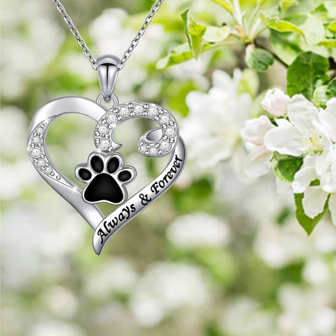Collar de Huella de Perro – Diseño de Corazón en Acero Inoxidable con Circonitas